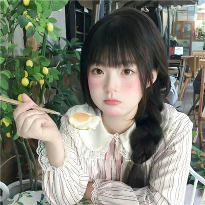 社会中坚